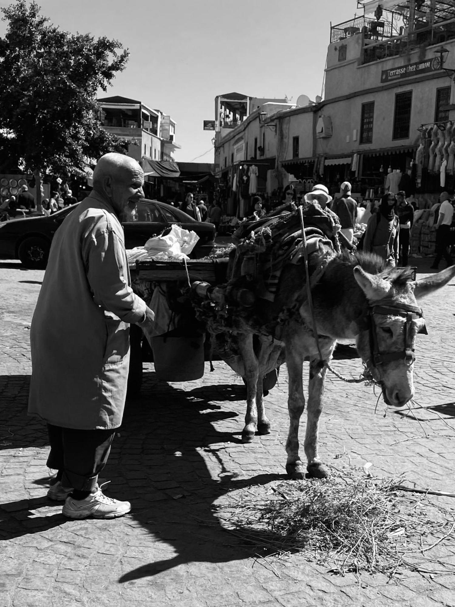 Riad Alamine Marrakesh Exteriör bild