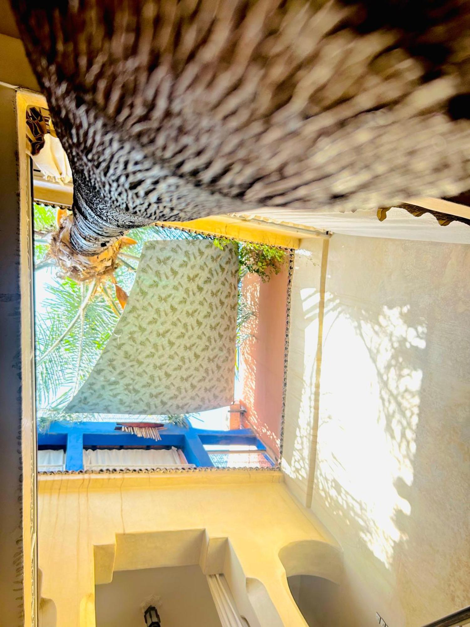 Riad Alamine Marrakesh Exteriör bild